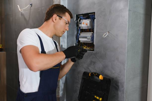 Best Circuit Breaker Repair  in Cedar Falls, IA