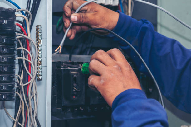 Best Affordable Electrician  in Cedar Falls, IA